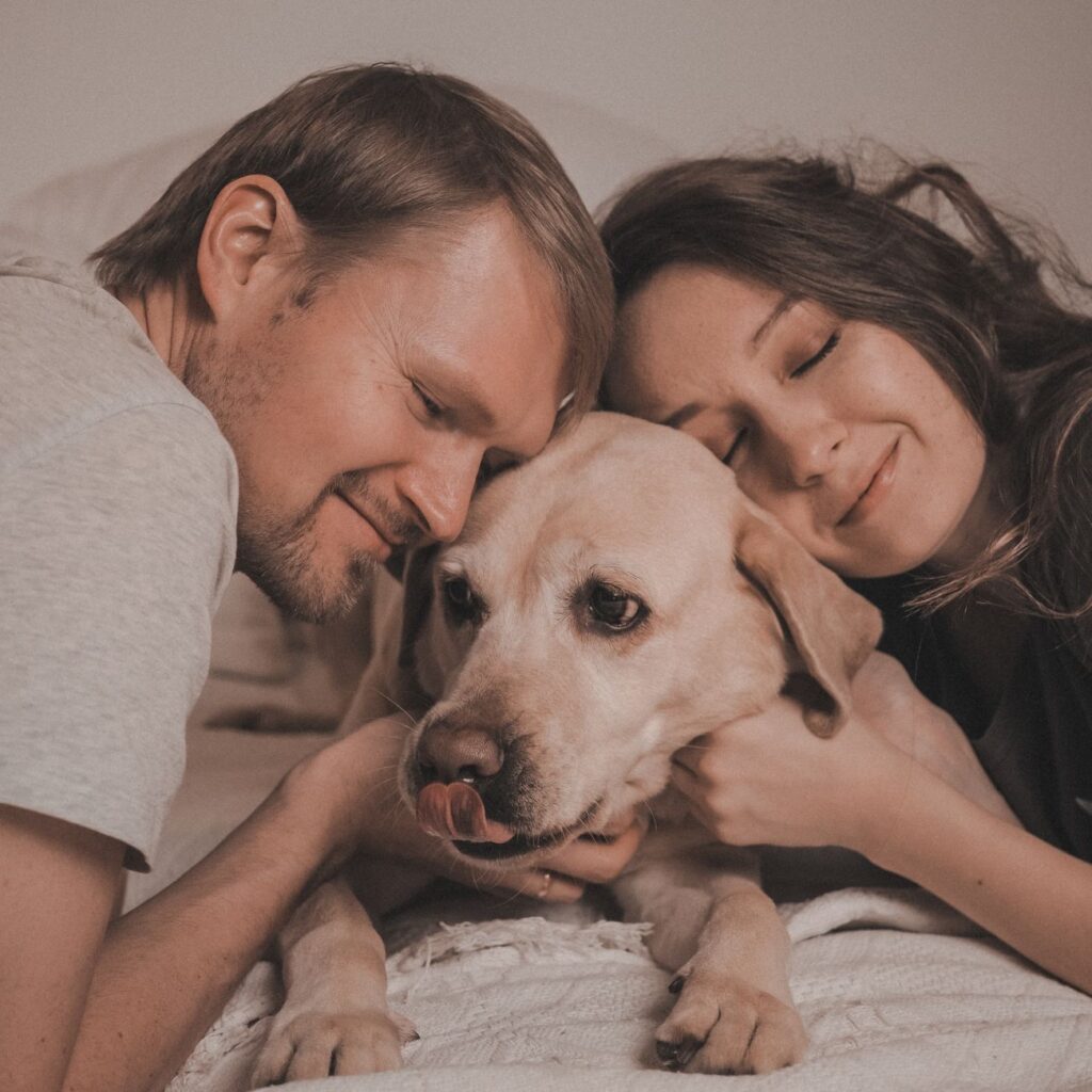 Beneficios de tener un seguro para mascotas en tu hogar 1 pexels photo 15448565